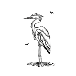 Art print for home decor of a black and white abstract line drawing of an image of a blue heron standing in water on the coast with birds flying around